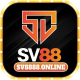 sv8888online's avatar