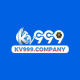 kv999company's avatar
