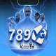 789vgbiz's avatar