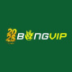 bongviptel's avatar