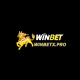 winbetxpro's avatar