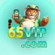 65vipnetbr's avatar