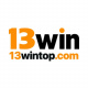 13wintopcom's avatar