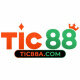 tic88acom's avatar