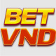 betvndee1's avatar