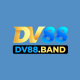 dv88band's avatar