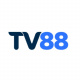 tv88io's avatar