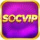 socvipdesign's avatar