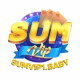 sumvip1baby's avatar