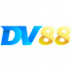 dv88codes's avatar