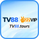 tv88tours's avatar