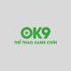 ok9charity1's avatar
