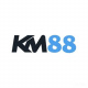 km88netbr1's avatar