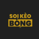 soikeobongdacomse's avatar