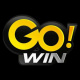 gowinuscom's avatar
