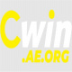 CWIN Việt Nam's avatar