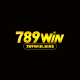 789winbike1's avatar