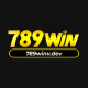 789winvdev's avatar