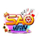 saowinteam's avatar