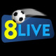 8livemoda1's avatar