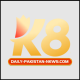 dailypakistannewscom's avatar