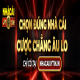 huongdancacuoc's avatar