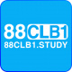 88clb1study's avatar