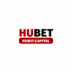 hubetcapital's avatar