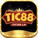 tic88la's avatar