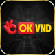okvndcloud's avatar