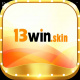 13winskin's avatar
