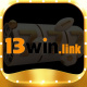 13winlink's avatar
