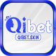 qibetskin's avatar