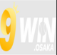9Winosaka1's avatar