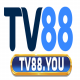 tv88you's avatar
