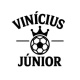 viniciusjuniorinfo25's avatar