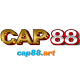 cap88art's avatar