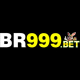 br999brcom's avatar