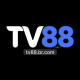 tv88brcom's avatar