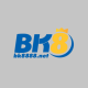 bk8888net's avatar