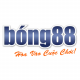 Vaobong123 Com's avatar