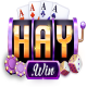 1haywintech's avatar