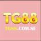 tg88comse's avatar
