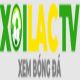 fondazi8vn's avatar