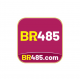 br485org's avatar