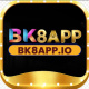 bk8appio1's avatar