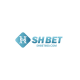 shbet600com's avatar