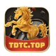 tdtc14g's avatar
