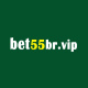 bet55brvip's avatar
