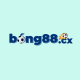 bong88cx1's avatar